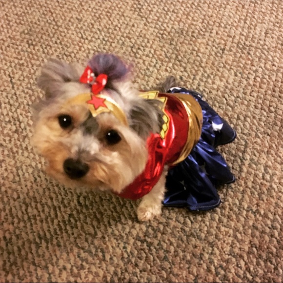 Wonder Woman Dog Costume - Picture 2 of 3